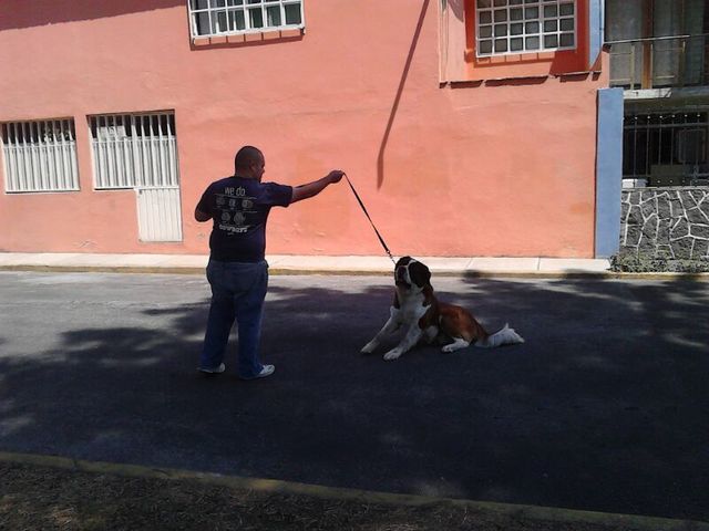 Sin Nombre