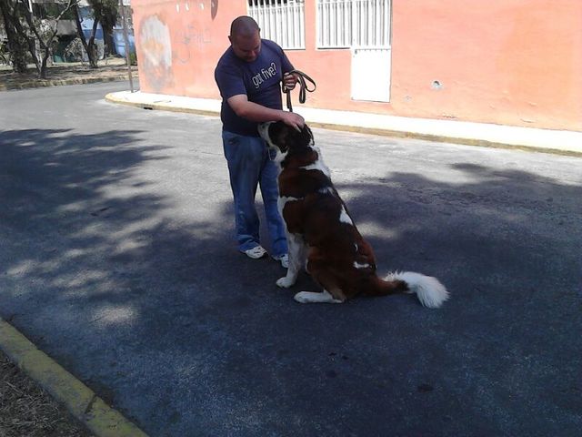 Sin Nombre