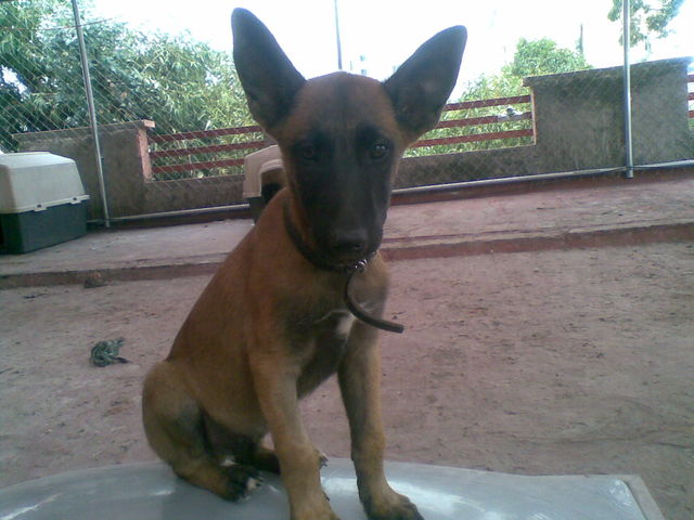 Sin Nombre