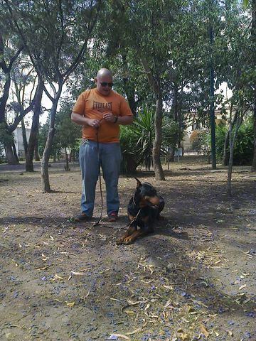 Sin Nombre