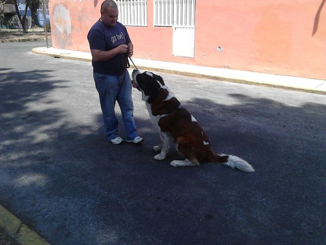 Sin Nombre