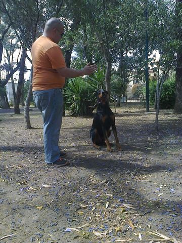 Sin Nombre