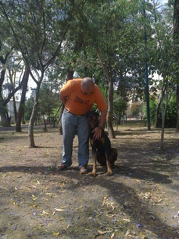 Sin Nombre