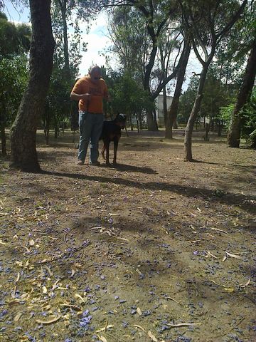 Sin Nombre