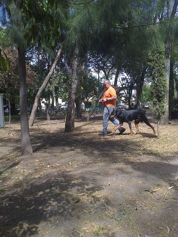 Sin Nombre