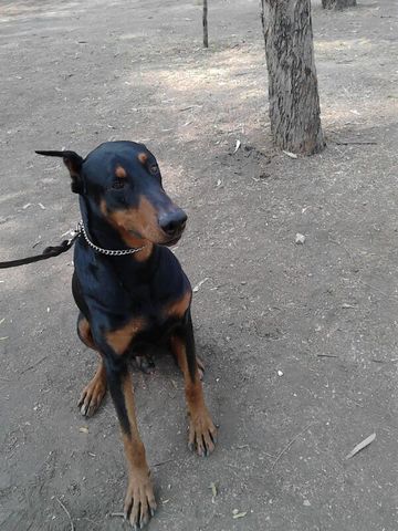 Sin Nombre